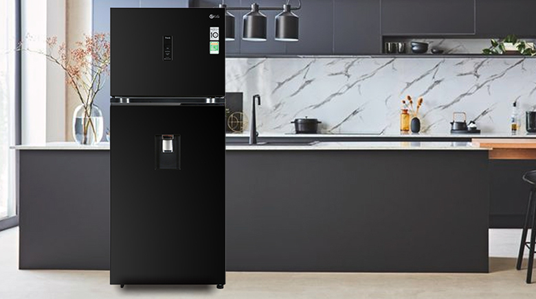 Tủ lạnh LG Inverter 374 lít GN-D372BLA