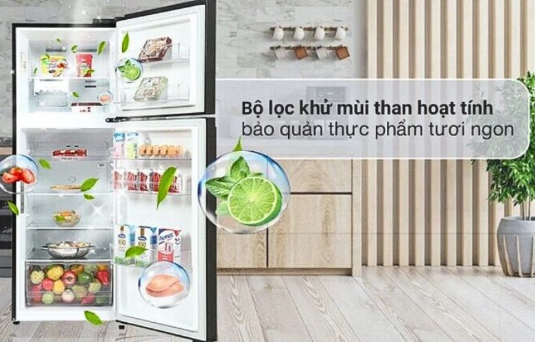 Bộ lọc kháng khuẩn, khử mùi -  Tủ lạnh LG Inverter 314 lít LTD31BLM